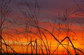 Beautiful Colors of sunset.
