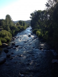 image (2)