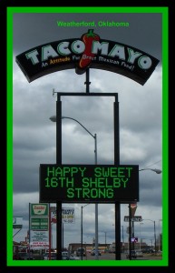 shelbytacomayo