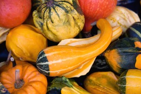 Gourds & squashes background