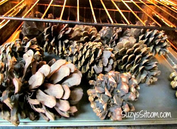 how-to-make-scented-pinecones2