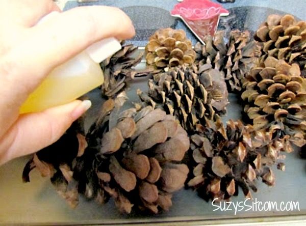 how-to-make-scented-pinecones3