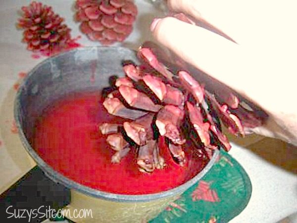 How to make wax covered pine cones. Great gift idea and beautiful decor
