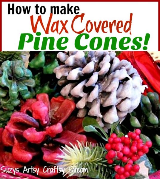 How to make wax covered pine cones. Great gift idea and beautiful decor