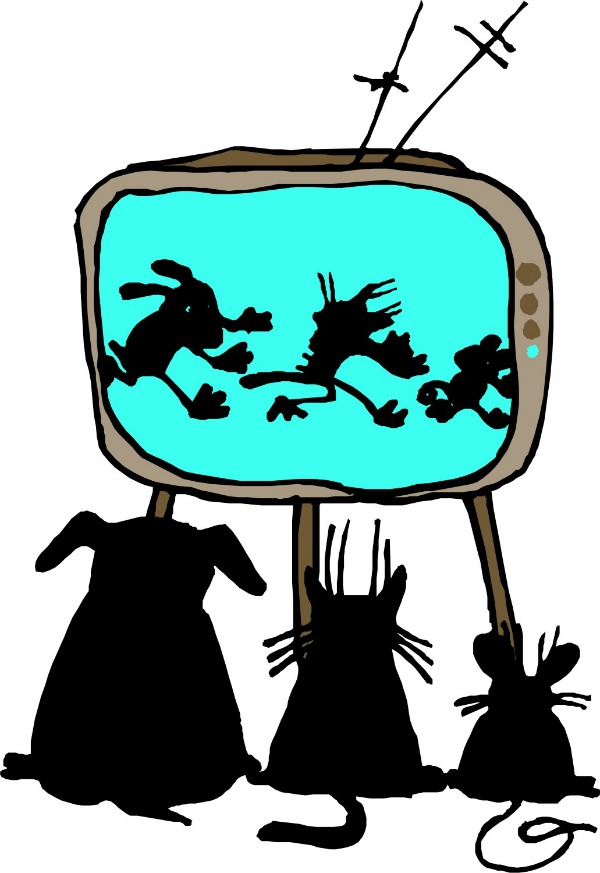 dog and cat watching tv