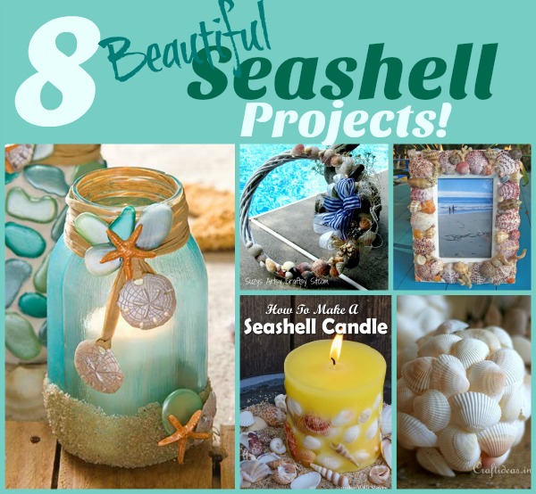 DIY Seashell Decor!
